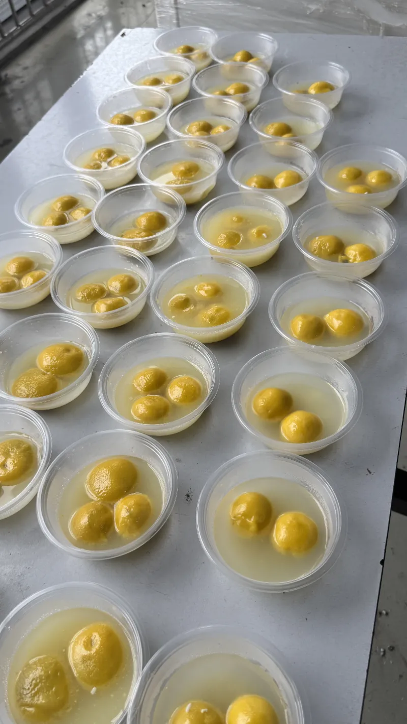 Фестиваль ліхтарів приносить тепло родинного возз’єднання людям SHUAIRUI